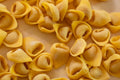 Tortellini fatti a mano appena chiusi al corso di Paola a Bologna: il risultato che si porta a casa